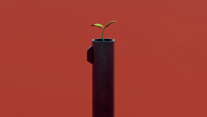 Zbraně, růst a zeleň